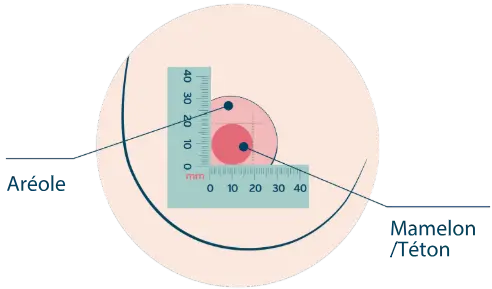Schéma du sein avec l'aréole et le mamelon et comment placer la réglette pour mesurer le mamelon